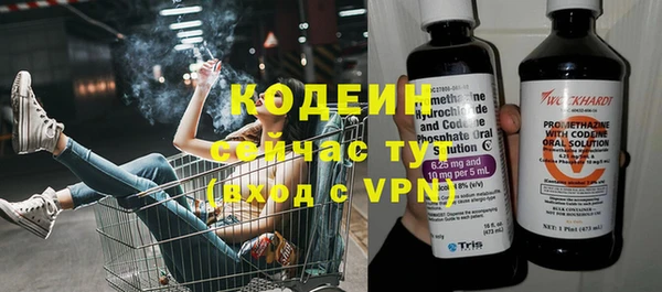 винт Вяземский