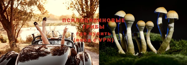 герыч Вязьма